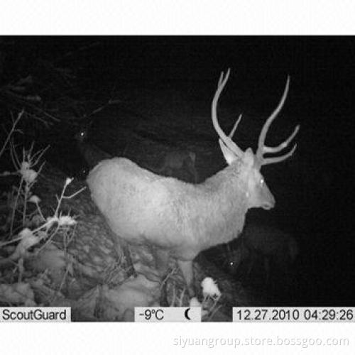 5.0MP Hunting Game Trail Camera with IR LED Waterproof Function